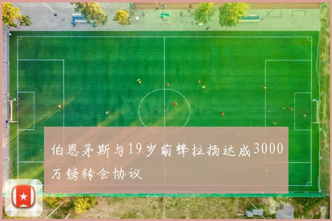 伯恩茅斯与19岁前锋拉扬达成3000万镑转会协议
